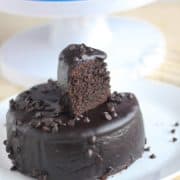 12 Tasty and Easy Cake Recipes Chocolate Cake in Pressure Cooker