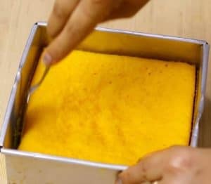 झटपट ढोकला बनाने की विधि | Instant Dhokla in Hindi Instant Dhokla