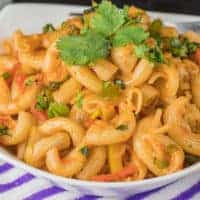 Indian style macaroni on a white bowl garnished with coriander leaves