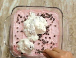 Oreo Ice-cream Sandwich Recipe