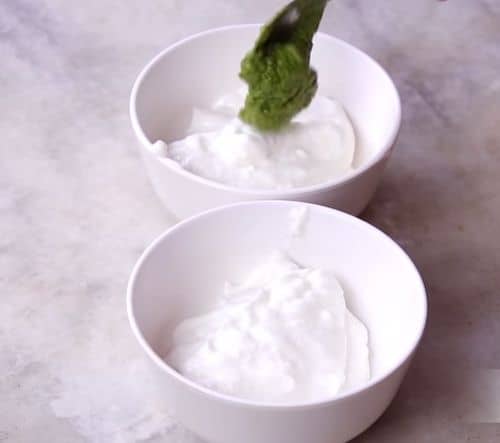 Eggless Mayonnaise