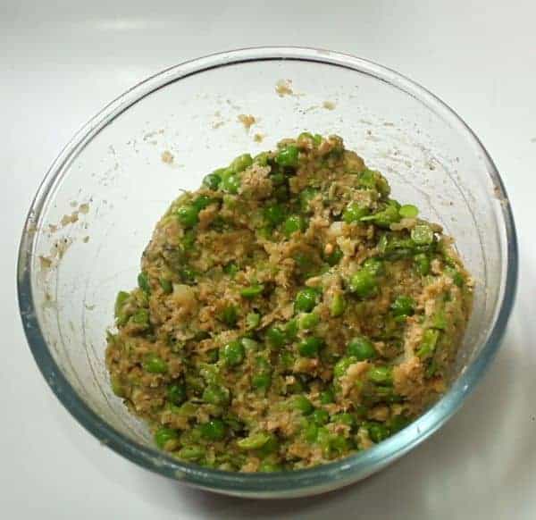 Veg Soya Kebab