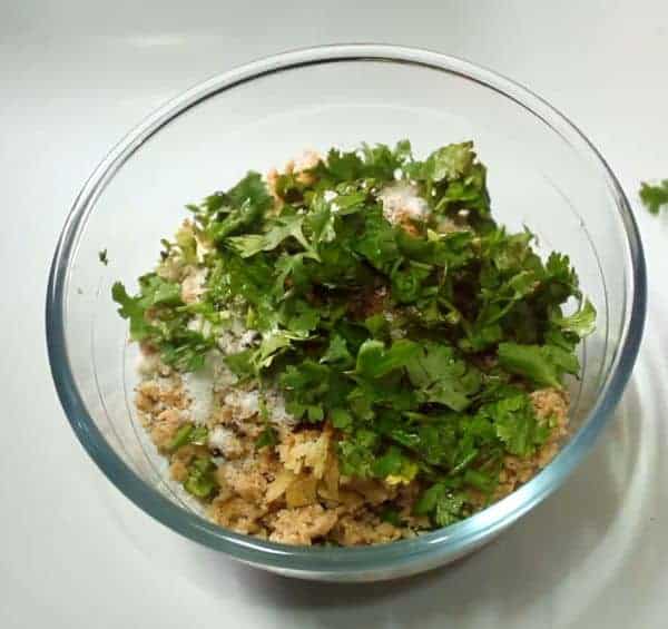 Veg Soya Kebab